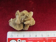 Mineralien,  Baryt Sandrose von Rockenberg, 4 x 3,5 x 2 cm filigran