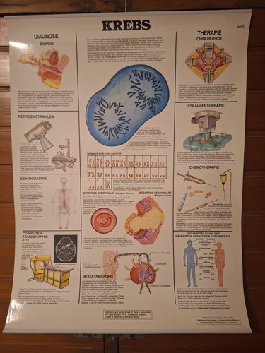 Medizinische lehrtafel stk - medizinische, 7