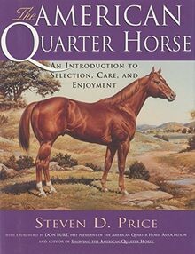 The american quarter horse - american, horse: