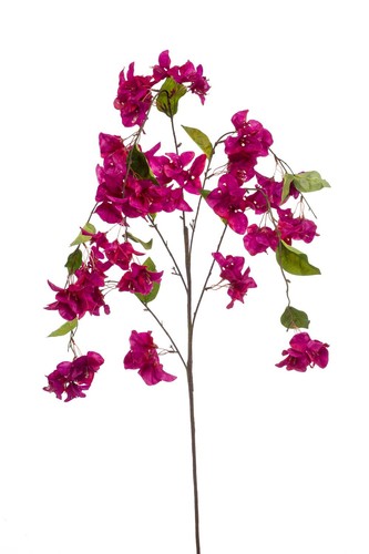 Artplants dekozweig - artplants,