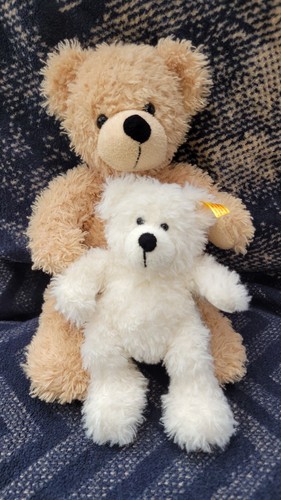 Steiff teddy lotte 18cm - 18cm, und