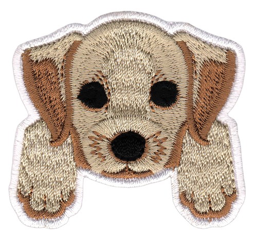 Am46 hund welpen labrador - welpen,