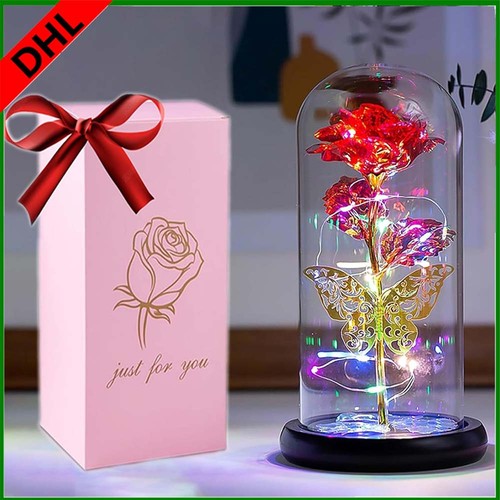 Ewige rose glas für - ewige, frauen