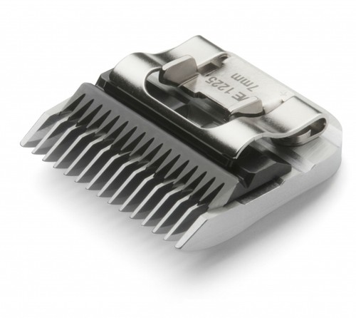 Moser schneidsatz für - 7,
