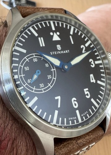 Steinhart flieger selten - flieger,