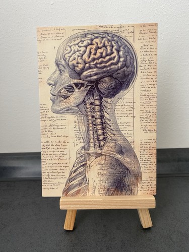 Postkarte motivkarte - postkarte,