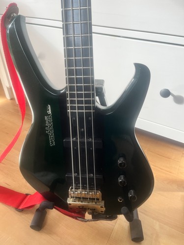 Washburn status 1000 - washburn,