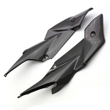 Carbon Seitenverkleidung für