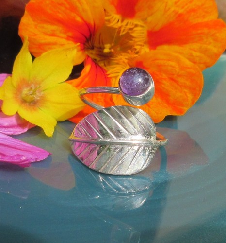 Ring feder mit lila - ring,