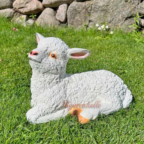 Lamm lämmchen schaf liegend - lämmchen,
