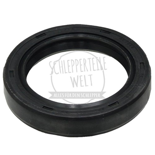 Wellendichtring bremswelle - wellendichtring,