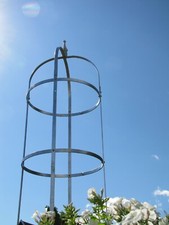 Rosensäule Rosenkönigin XXL-