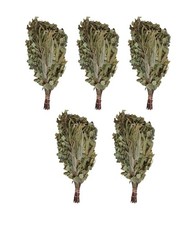 Reisig, Saunabesen,  Birke &