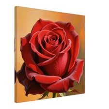 Wandbild Rote Rose in voller