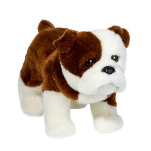 Bulldogge hardy hund - bulldogge,