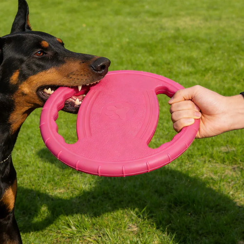 Hunde eva frisbee kauspielzeug - eva,