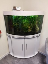 Juwel Trigon 190 LED Eck-Aquarium mit Unterschrank
