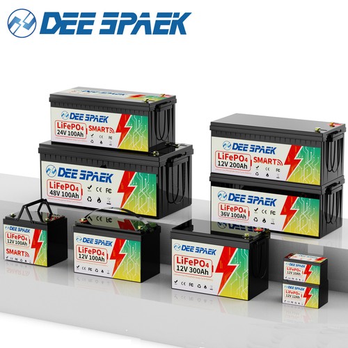 12v 24v 48v 100ah 200ah - 36/48v,