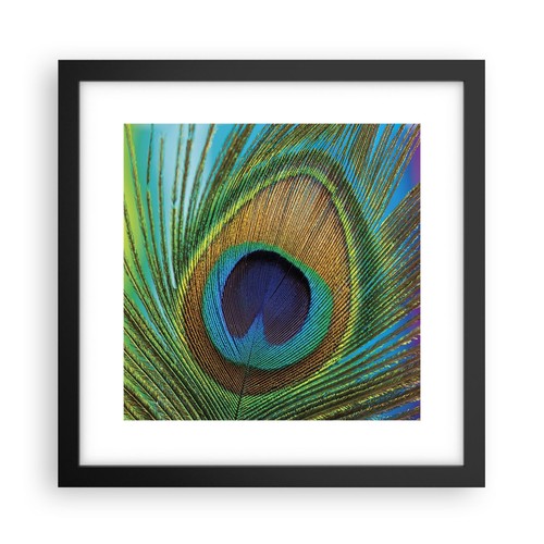 Wandbilder 30x30cm poster - wandbilder,