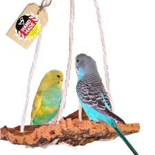 Wellensittich Spielzeug