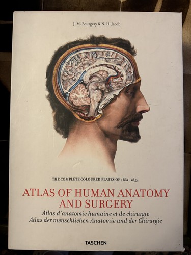 Atlas human anatomy - atlas, of