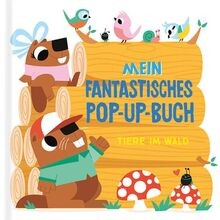 Mein fantastisches pop - mein,