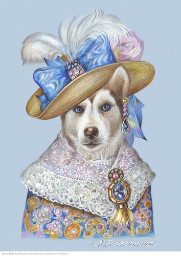 Siberian husky lady romance - romance, a3