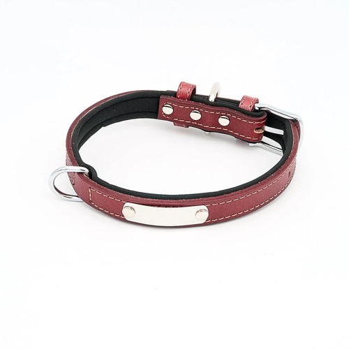 Hundehalsband mit namen - hundehalsband,