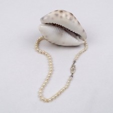 Akoya Perlenkette L 40 cm 71