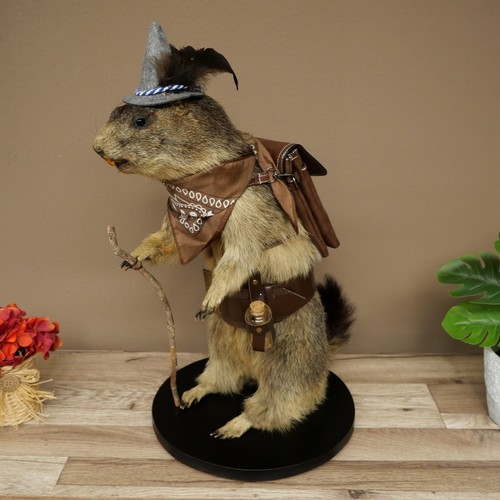 Wolpertinger murmeltier - wolpertinger,