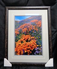 Thomas Mangelsen Framed Signed