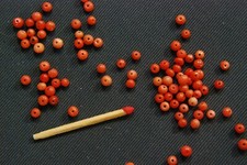 30 Stk. echte Mittelmeer