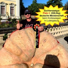 Samen v. 530,5kg