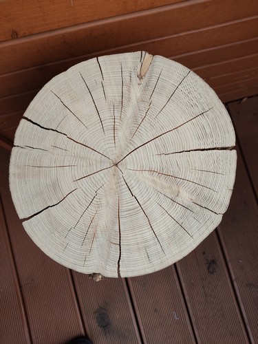 Grossen xxxl holzstamm - grossen,