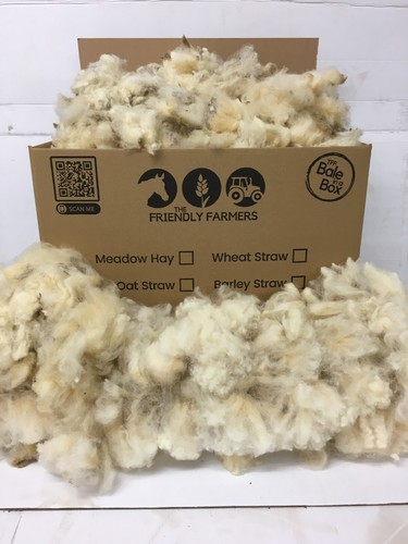 Merino dorset daunen roh - daunen,