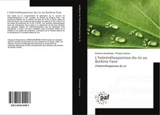 Helminthosporiose riz au - l'helminthosporiose,