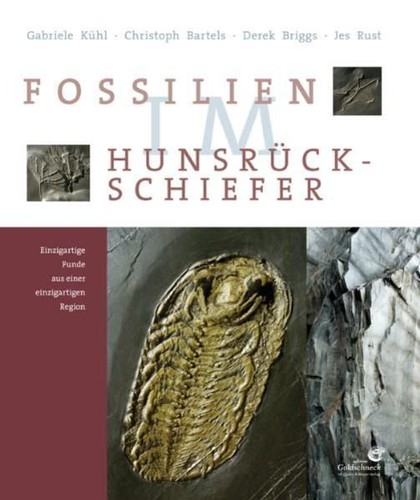 Fossilien - , im
