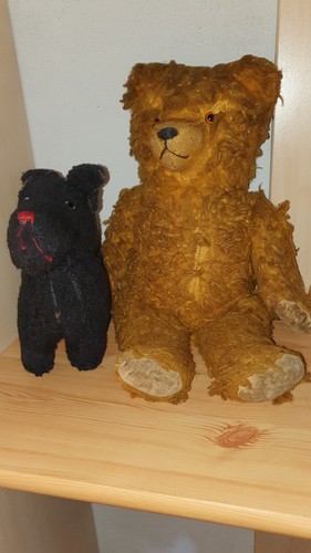 Alter teddy plus hund - teddy, mit