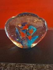 Murano Aquarium Vitrinenobjekt