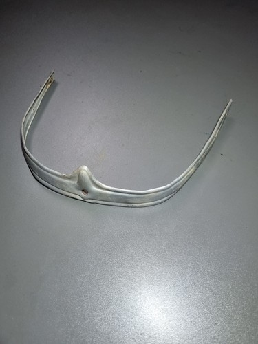 Vespa acma struzzo - vespa, acma,