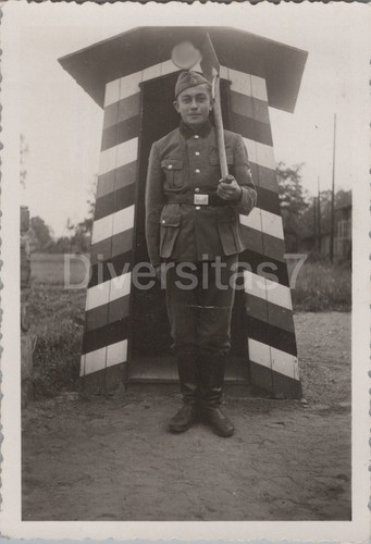 Foto arbeitsdienst 371 - arbeitsdienst, 6/371