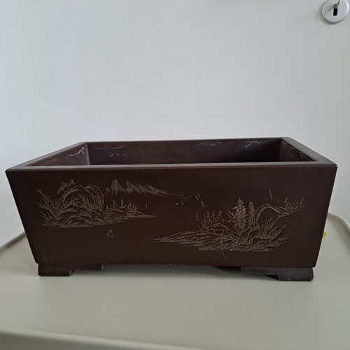 Bonsaischale xxl groß - xxl,