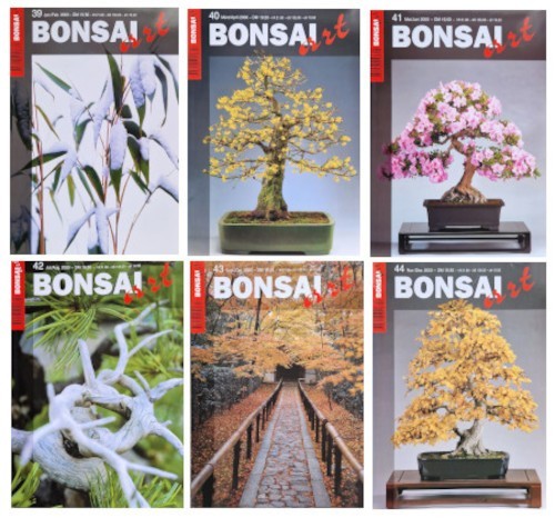 Bonsai art jahrgang 2000 - bonsai,