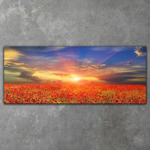 Canvas xxl bilder leinwand - canvas,