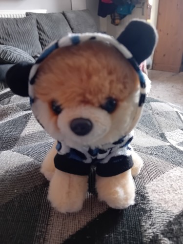 Gund itty bitty boo pomeranian - itty,