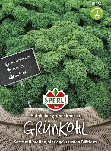 Grünkohl halbhoher grüner - grünkohl,