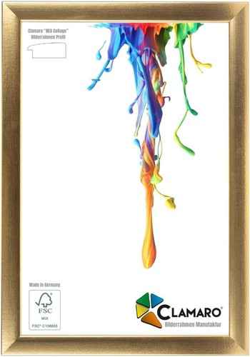 Bilderrahmen gold 53g neo - 53g,