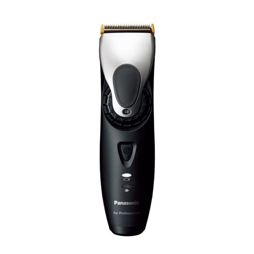 Panasonic dgp65 profi - panasonic,