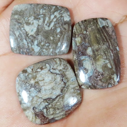 Pilz rhyolite cabochon lose - rhyolite,