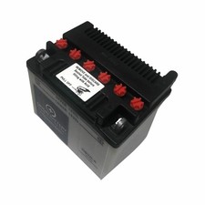 Yamaha TW200 Battery